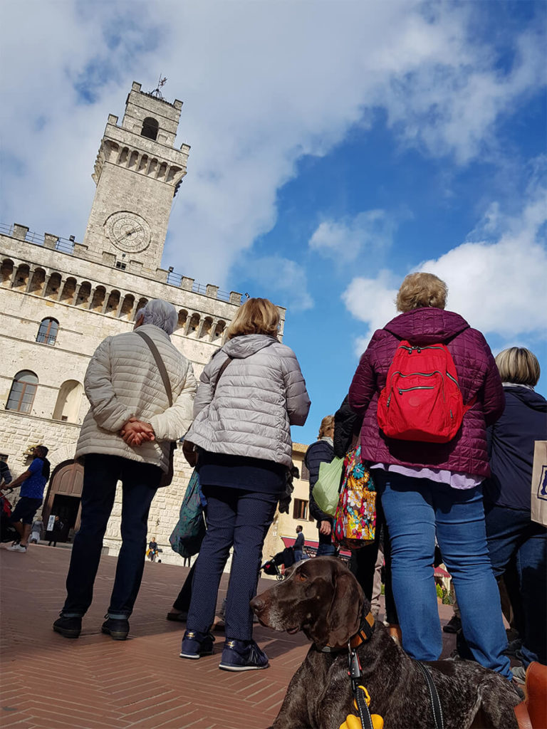Montepulciano dog Il parmense