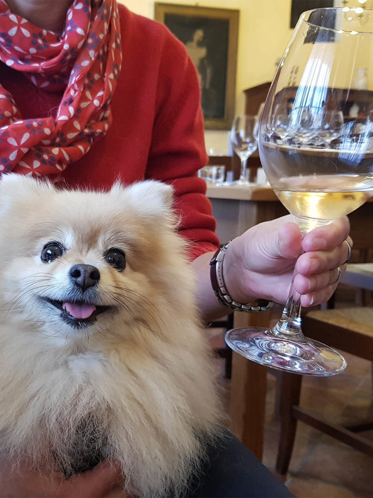 volpino vino Valdobbiadene e il vicentino