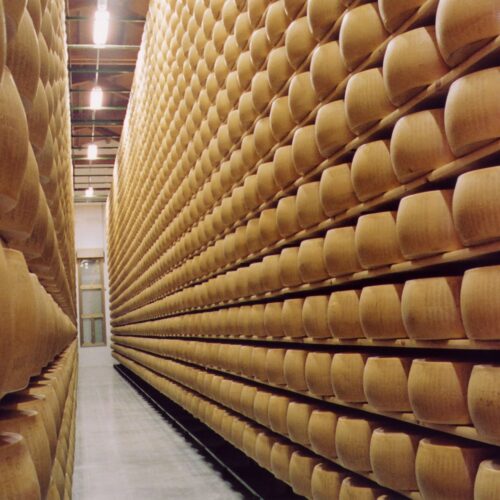 PARMA-korakane travel parmigiano