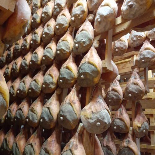 PARMA-viaggi bus da torino prosciutto-parma