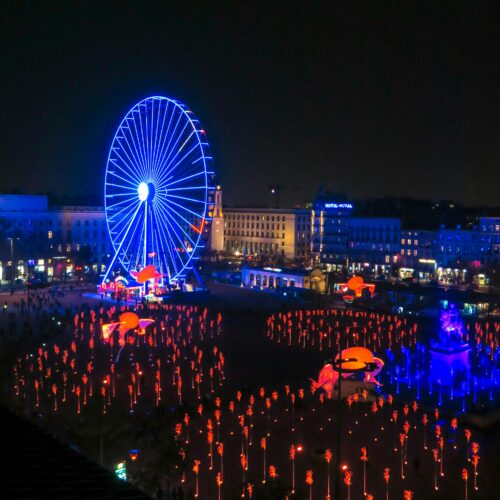 Grande ruota panoramica illuminata di notte in una piazza, tappa finale per chi sceglie i viaggi organizzati da Cuneo