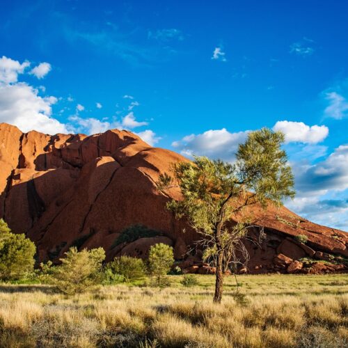 Viaggi organizzati da cuneo da Korakané, alla scoperta dell'australia