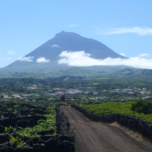 Natura delle Azzorre con vigneti e vulcano, viaggi organizzati da Cuneo con Korakané