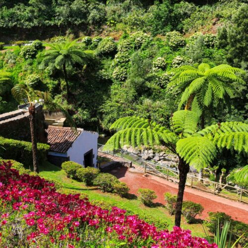 Viaggi organizzati Torino nei giardini fioriti di un parco storico.