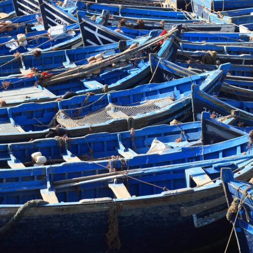 Diverse barche blu in un porto in Marocco raggiungibile tramite un tour operator di Cuneo