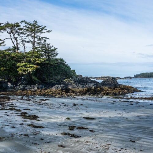 Tofino, sull'Isola di Vancouver, all'interno della Columbia Britannica, in Canada. viaggi organizzati da cuneo
